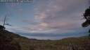 ./images/calvert/fitz-hugh-hecate/20260923/fitz-hugh-hecate20260923_195501M.jpg