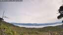 ./images/calvert/fitz-hugh-hecate/20260924/fitz-hugh-hecate20260924_113001M.jpg