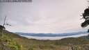./images/calvert/fitz-hugh-hecate/20260924/fitz-hugh-hecate20260924_115001M.jpg