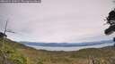 ./images/calvert/fitz-hugh-hecate/20260924/fitz-hugh-hecate20260924_135001M.jpg