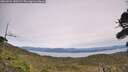 ./images/calvert/fitz-hugh-hecate/20260924/fitz-hugh-hecate20260924_140501M.jpg