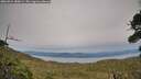 ./images/calvert/fitz-hugh-hecate/20260924/fitz-hugh-hecate20260924_180001M.jpg