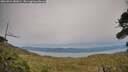 ./images/calvert/fitz-hugh-hecate/20260924/fitz-hugh-hecate20260924_181001M.jpg