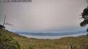./images/calvert/fitz-hugh-hecate/20260924/fitz-hugh-hecate20260924_181501M.jpg