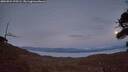 ./images/calvert/fitz-hugh-hecate/20260924/fitz-hugh-hecate20260924_195501M.jpg