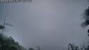 ./images/calvert/fitz-hugh-hecate/20260925/fitz-hugh-hecate20260925_070501M.jpg
