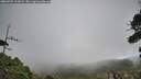 ./images/calvert/fitz-hugh-hecate/20260925/fitz-hugh-hecate20260925_122001M.jpg