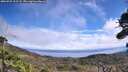 ./images/calvert/fitz-hugh-hecate/20260925/fitz-hugh-hecate20260925_125501M.jpg