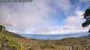 ./images/calvert/fitz-hugh-hecate/20260925/fitz-hugh-hecate20260925_134002M.jpg