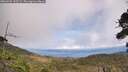 ./images/calvert/fitz-hugh-hecate/20260925/fitz-hugh-hecate20260925_135502M.jpg