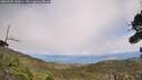 ./images/calvert/fitz-hugh-hecate/20260925/fitz-hugh-hecate20260925_140001M.jpg