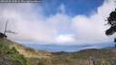 ./images/calvert/fitz-hugh-hecate/20260925/fitz-hugh-hecate20260925_142002M.jpg