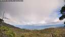 ./images/calvert/fitz-hugh-hecate/20260925/fitz-hugh-hecate20260925_142502M.jpg