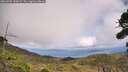 ./images/calvert/fitz-hugh-hecate/20260925/fitz-hugh-hecate20260925_143002M.jpg