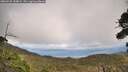 ./images/calvert/fitz-hugh-hecate/20260925/fitz-hugh-hecate20260925_144002M.jpg