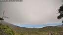 ./images/calvert/fitz-hugh-hecate/20260925/fitz-hugh-hecate20260925_145001M.jpg