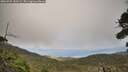 ./images/calvert/fitz-hugh-hecate/20260925/fitz-hugh-hecate20260925_150501M.jpg