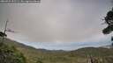 ./images/calvert/fitz-hugh-hecate/20260925/fitz-hugh-hecate20260925_155501M.jpg
