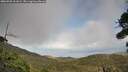 ./images/calvert/fitz-hugh-hecate/20260925/fitz-hugh-hecate20260925_161001M.jpg