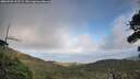 ./images/calvert/fitz-hugh-hecate/20260925/fitz-hugh-hecate20260925_162501M.jpg