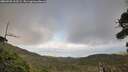 ./images/calvert/fitz-hugh-hecate/20260925/fitz-hugh-hecate20260925_163501M.jpg