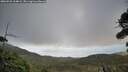 ./images/calvert/fitz-hugh-hecate/20260925/fitz-hugh-hecate20260925_164001M.jpg