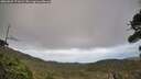 ./images/calvert/fitz-hugh-hecate/20260925/fitz-hugh-hecate20260925_171002M.jpg