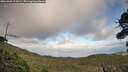 ./images/calvert/fitz-hugh-hecate/20260925/fitz-hugh-hecate20260925_173501M.jpg