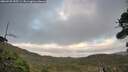./images/calvert/fitz-hugh-hecate/20260925/fitz-hugh-hecate20260925_183501M.jpg