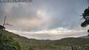 ./images/calvert/fitz-hugh-hecate/20260925/fitz-hugh-hecate20260925_184001M.jpg