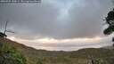 ./images/calvert/fitz-hugh-hecate/20260925/fitz-hugh-hecate20260925_190001M.jpg