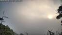 ./images/calvert/fitz-hugh-hecate/20260926/fitz-hugh-hecate20260926_082501M.jpg