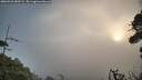 ./images/calvert/fitz-hugh-hecate/20260926/fitz-hugh-hecate20260926_083501M.jpg