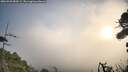 ./images/calvert/fitz-hugh-hecate/20260926/fitz-hugh-hecate20260926_084501M.jpg