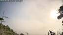 ./images/calvert/fitz-hugh-hecate/20260926/fitz-hugh-hecate20260926_090001M.jpg