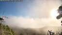 ./images/calvert/fitz-hugh-hecate/20260926/fitz-hugh-hecate20260926_091001M.jpg