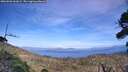 ./images/calvert/fitz-hugh-hecate/20260926/fitz-hugh-hecate20260926_161002M.jpg