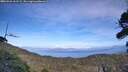 ./images/calvert/fitz-hugh-hecate/20260926/fitz-hugh-hecate20260926_161502M.jpg