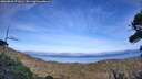 ./images/calvert/fitz-hugh-hecate/20260926/fitz-hugh-hecate20260926_171001M.jpg