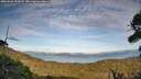 ./images/calvert/fitz-hugh-hecate/20260926/fitz-hugh-hecate20260926_172001M.jpg