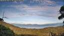 ./images/calvert/fitz-hugh-hecate/20260926/fitz-hugh-hecate20260926_172501M.jpg