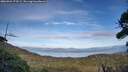 ./images/calvert/fitz-hugh-hecate/20260926/fitz-hugh-hecate20260926_173502M.jpg
