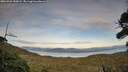 ./images/calvert/fitz-hugh-hecate/20260926/fitz-hugh-hecate20260926_180001M.jpg