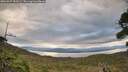 ./images/calvert/fitz-hugh-hecate/20260927/fitz-hugh-hecate20260927_083501M.jpg