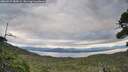 ./images/calvert/fitz-hugh-hecate/20260927/fitz-hugh-hecate20260927_084501M.jpg
