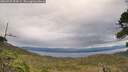 ./images/calvert/fitz-hugh-hecate/20260927/fitz-hugh-hecate20260927_094502M.jpg