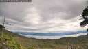 ./images/calvert/fitz-hugh-hecate/20260927/fitz-hugh-hecate20260927_113502M.jpg