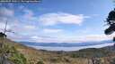 ./images/calvert/fitz-hugh-hecate/20260927/fitz-hugh-hecate20260927_120501M.jpg