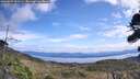 ./images/calvert/fitz-hugh-hecate/20260927/fitz-hugh-hecate20260927_121501M.jpg
