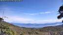 ./images/calvert/fitz-hugh-hecate/20260927/fitz-hugh-hecate20260927_125501M.jpg